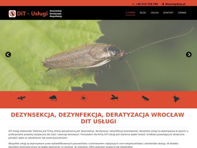 DiT-Usługi